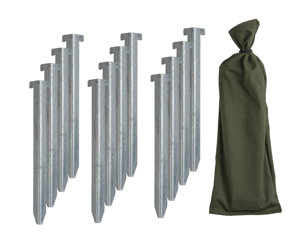 Tent stake set