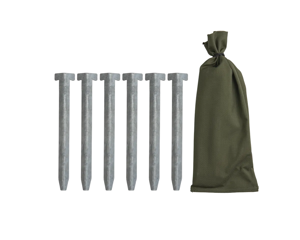 Tent stake set